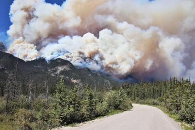 Wildfires such as the one in Jasper National Park affect many animal habitats. (Photo via Alberta Wildfires’ Facebook page.)