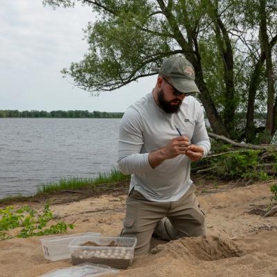 Turtle eggs are carefully collected and transported to a lab to protect them from predators. (Photo via Petrie Island Turtle Project’s Facebook page.)