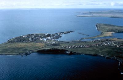 St. Paul Island, off the coast of Alaska, is a haven for wildlife. (Photo: U.S. Army Corps of Engineers, via Wikimedia Commons.)