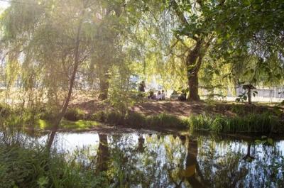 Guichon Creek has been brought back to life in Burnaby, British Columbia. (Photo: BCIT via Instagram.)