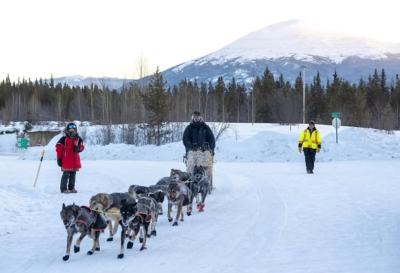 A dog sled team passes through a checkpoint on the Yukon Quest. (Photo: Alexander Pai, via Instagram.)