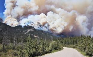 Wildfires such as the one in Jasper National Park affect many animal habitats. (Photo via Alberta Wildfires’ Facebook page.)