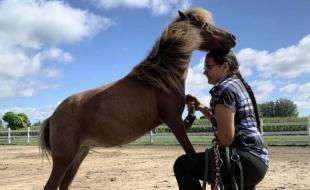 Zhawanoogbiik Danielle Riley cares for horses and other animals at the Riley Ranch On Three Fires. (Photo via Facebook.)