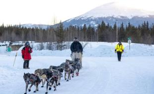 A dog sled team passes through a checkpoint on the Yukon Quest. (Photo: Alexander Pai, via Instagram.)